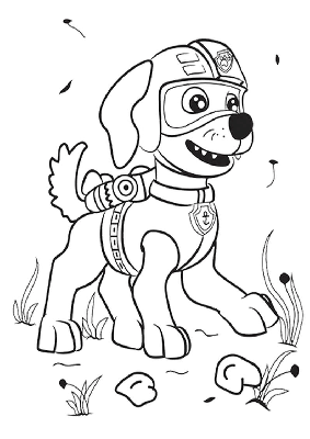 Kolorowanka spacerujący Zuma